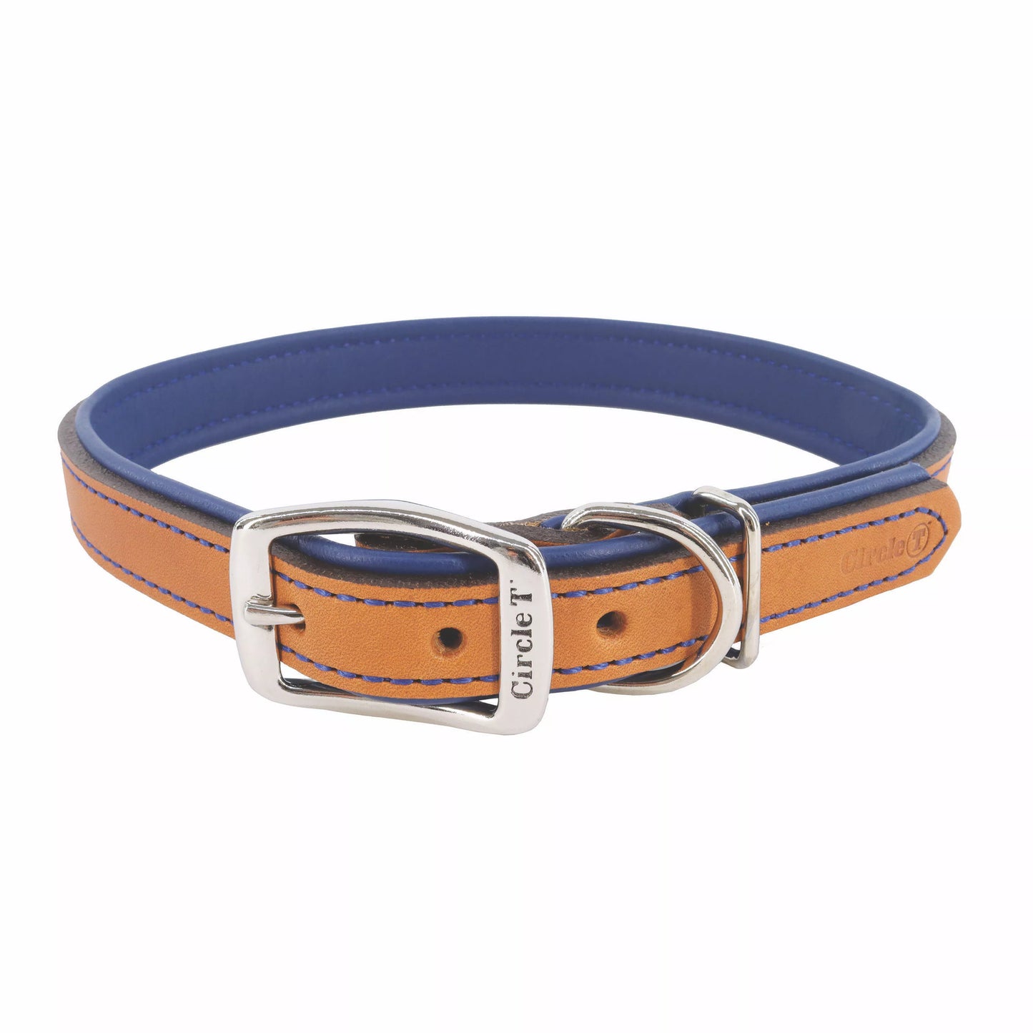 Circle T Layered Fashion Leather Dog Collar 14”