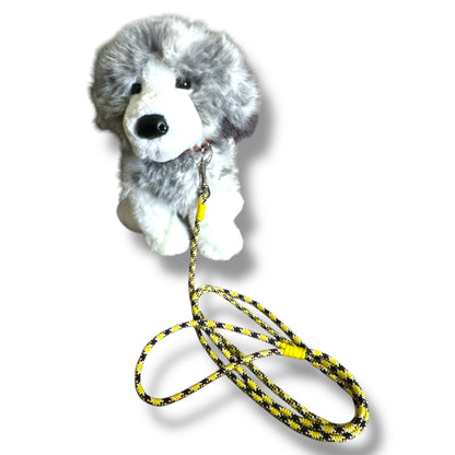 Thin Dog Leashes
