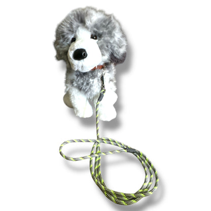 Thin Dog Leashes