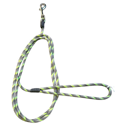 Thin Dog Leashes