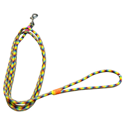 Thin Dog Leashes