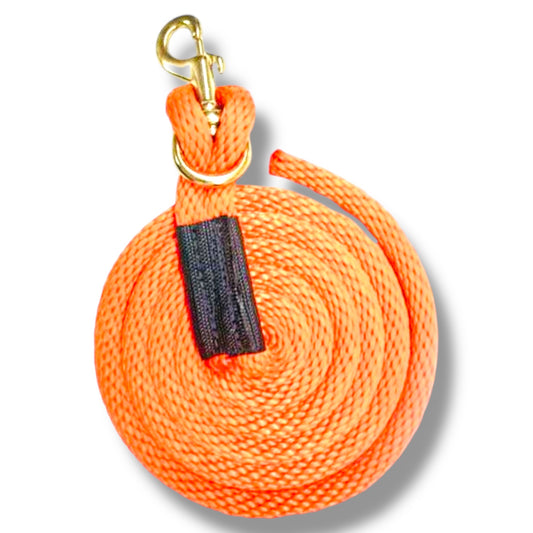 8ft Derby Lead with Removable Snap