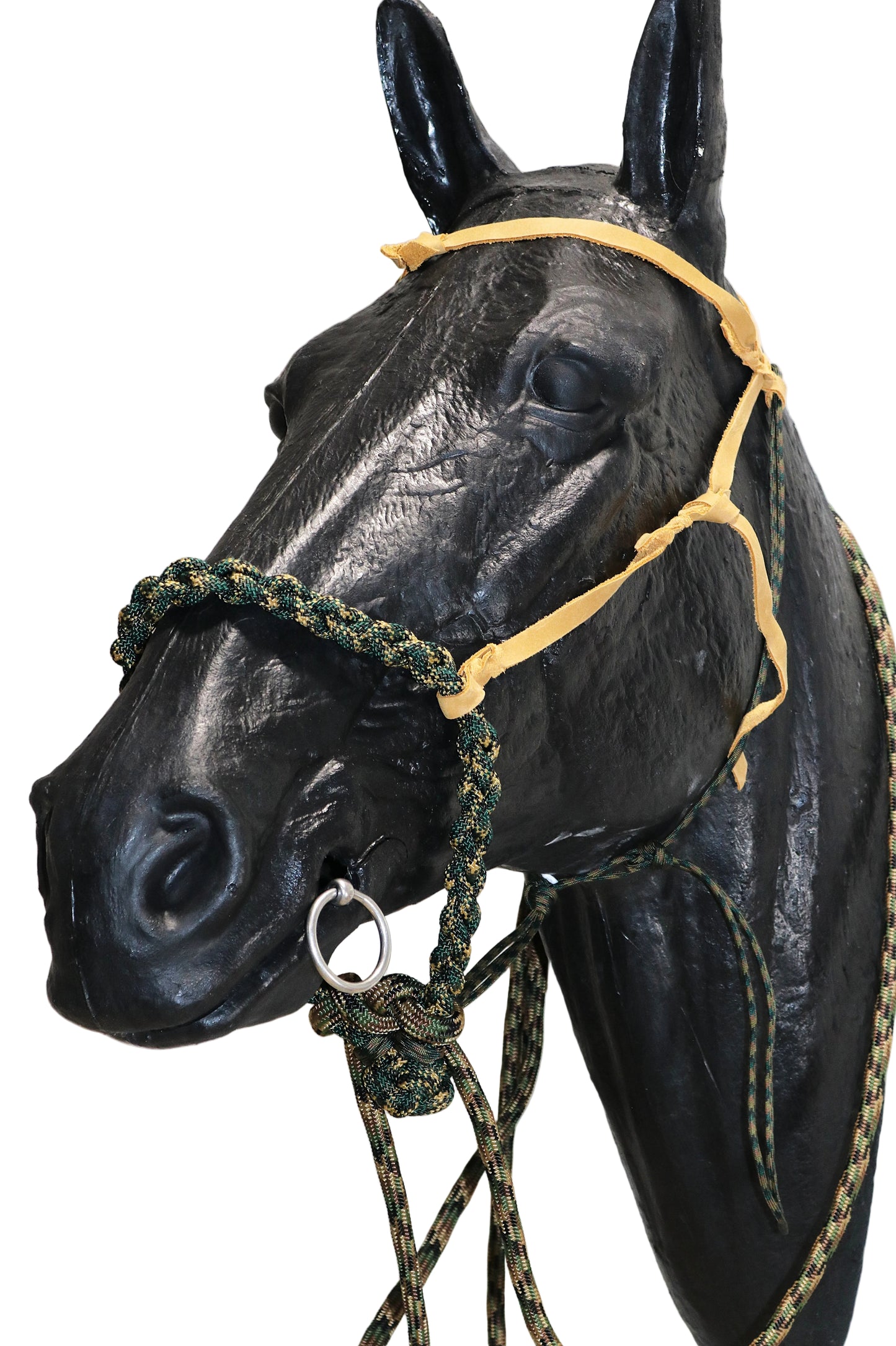 SCR Braided Loping Hackamore Set