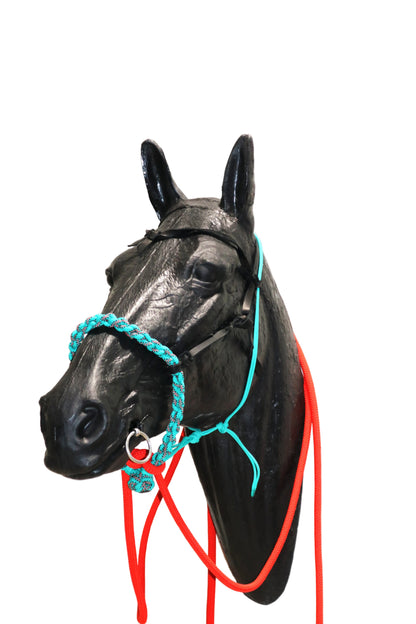 SCR Braided Loping Hackamore Set