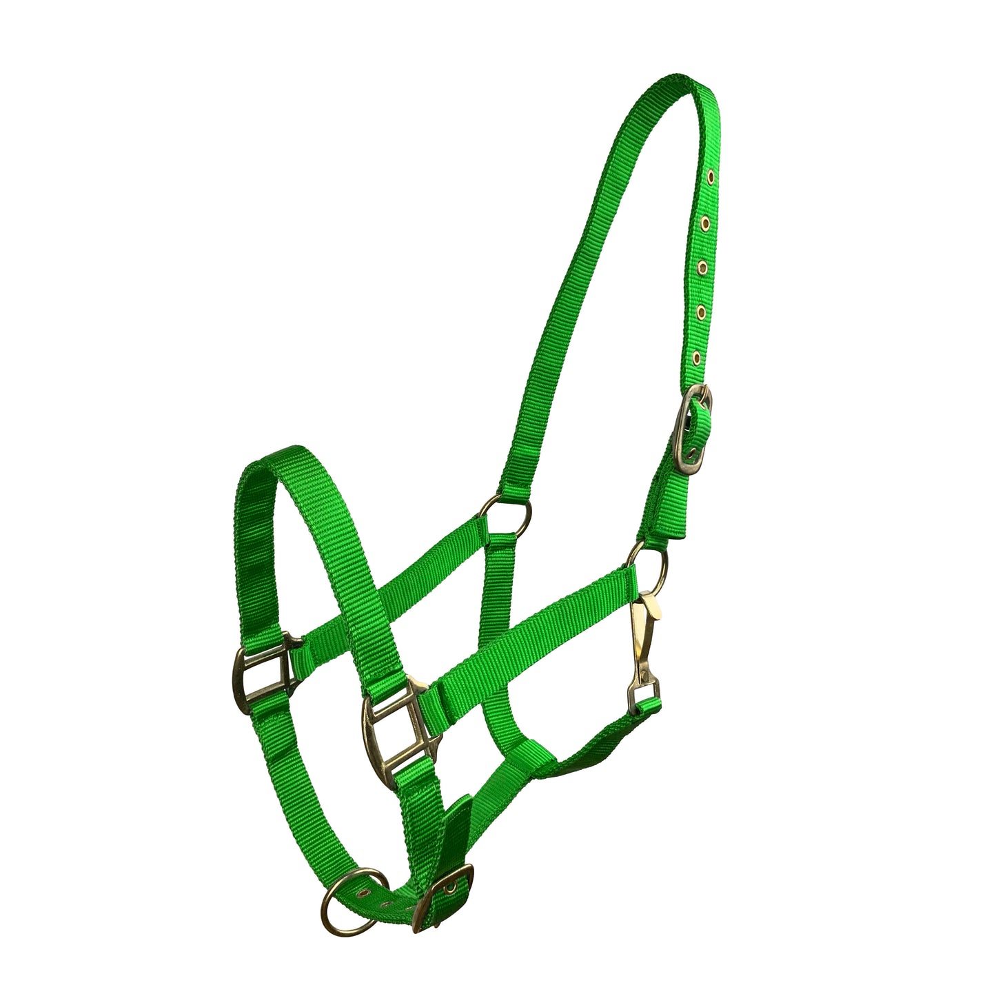 Triple Ply Nylon Halter Average Horse Lime Green