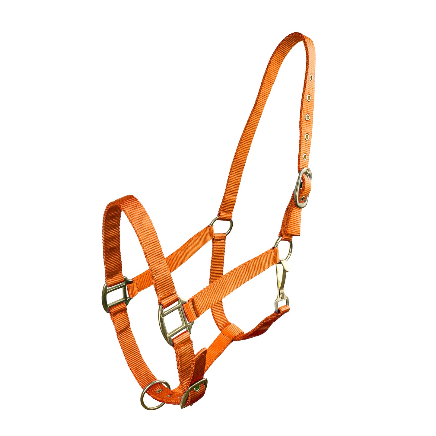 Triple Ply Nylon Halter Average Horse Orange
