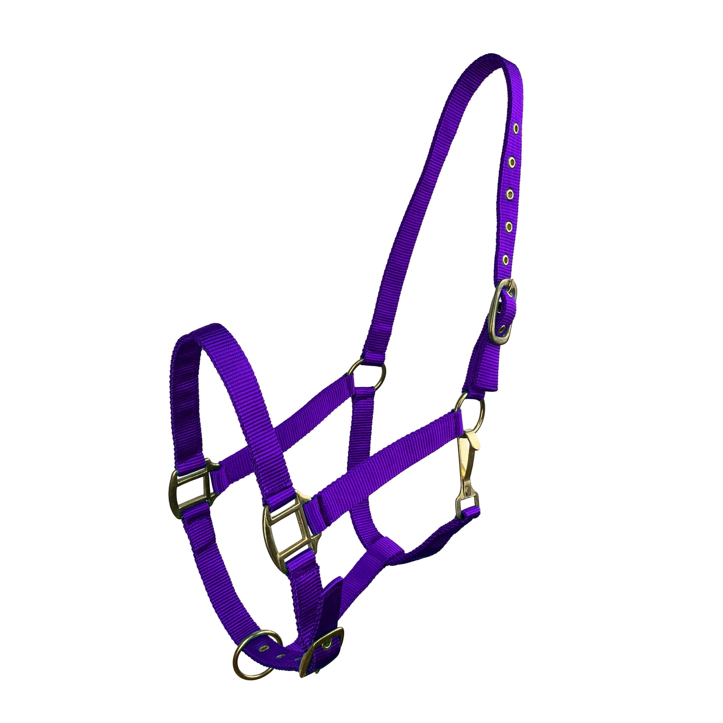 Triple Ply Nylon Halter Average Horse Purple