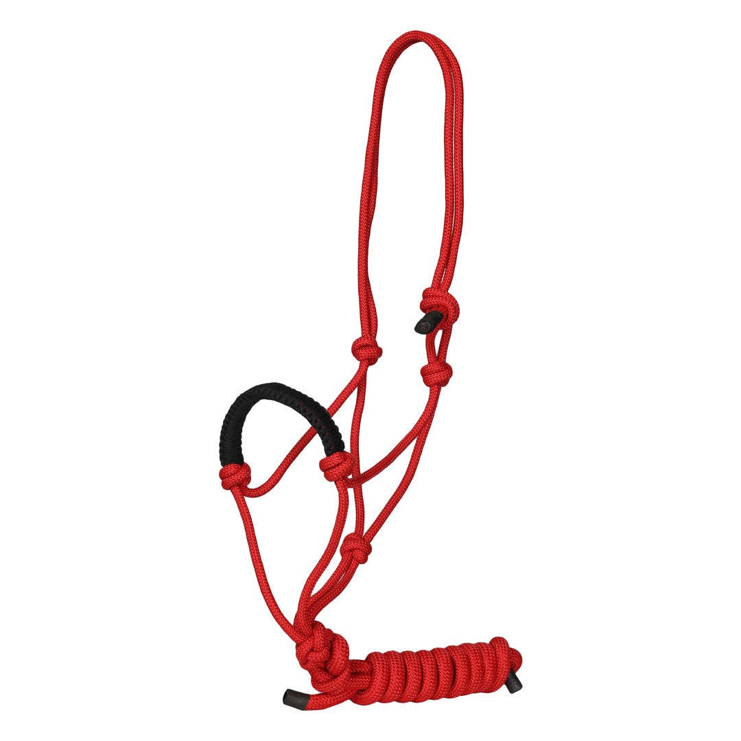 Rope Halter with Braided Noseband and Matching Lead Rope
