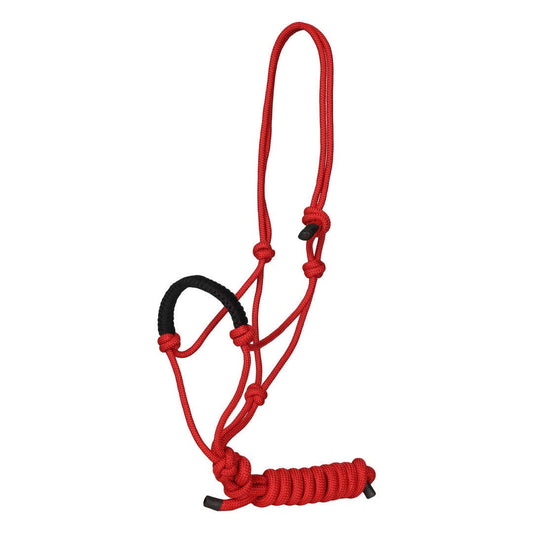 Rope Halter with Braided Noseband and Matching Lead Rope