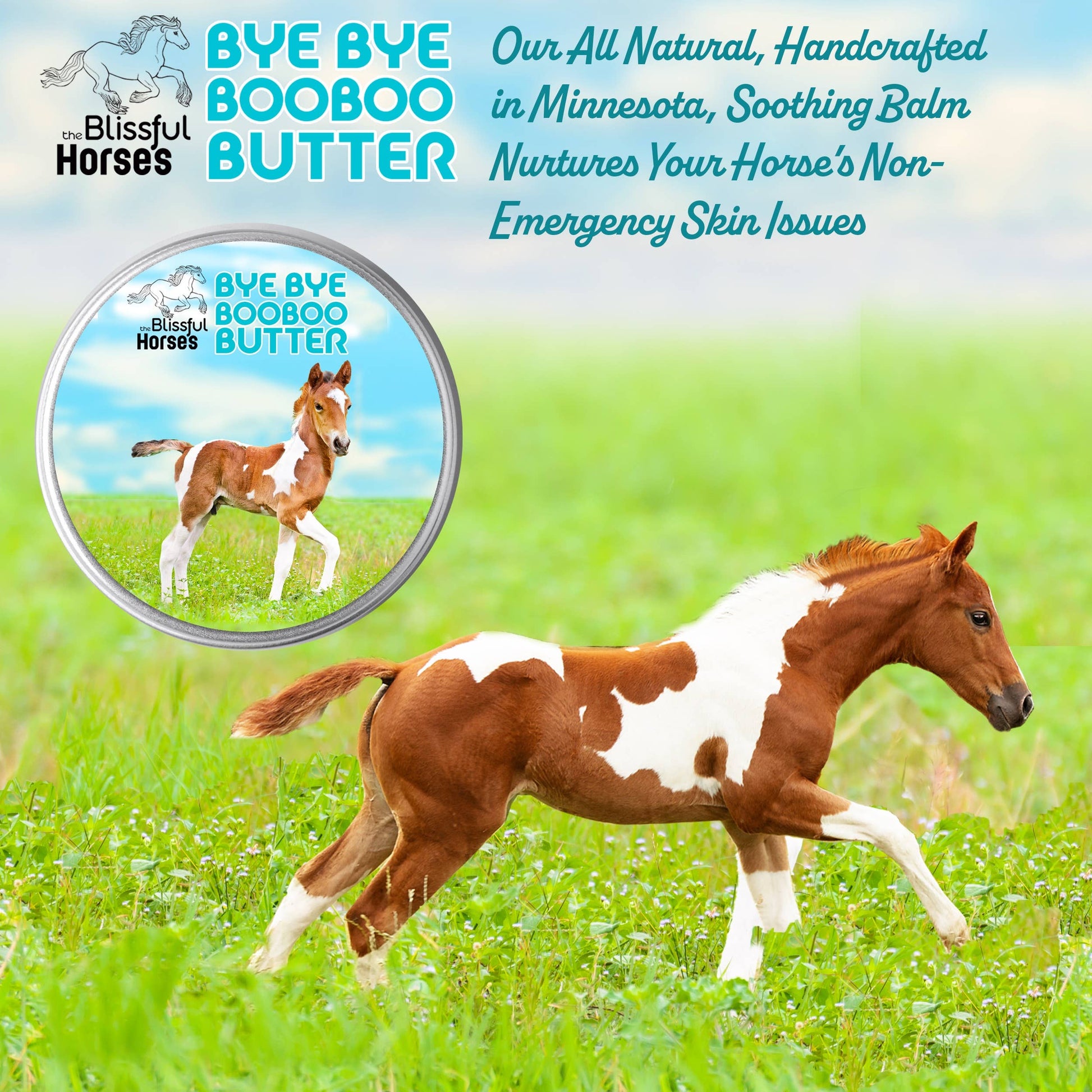 bye bye booboo butter tin and running foal