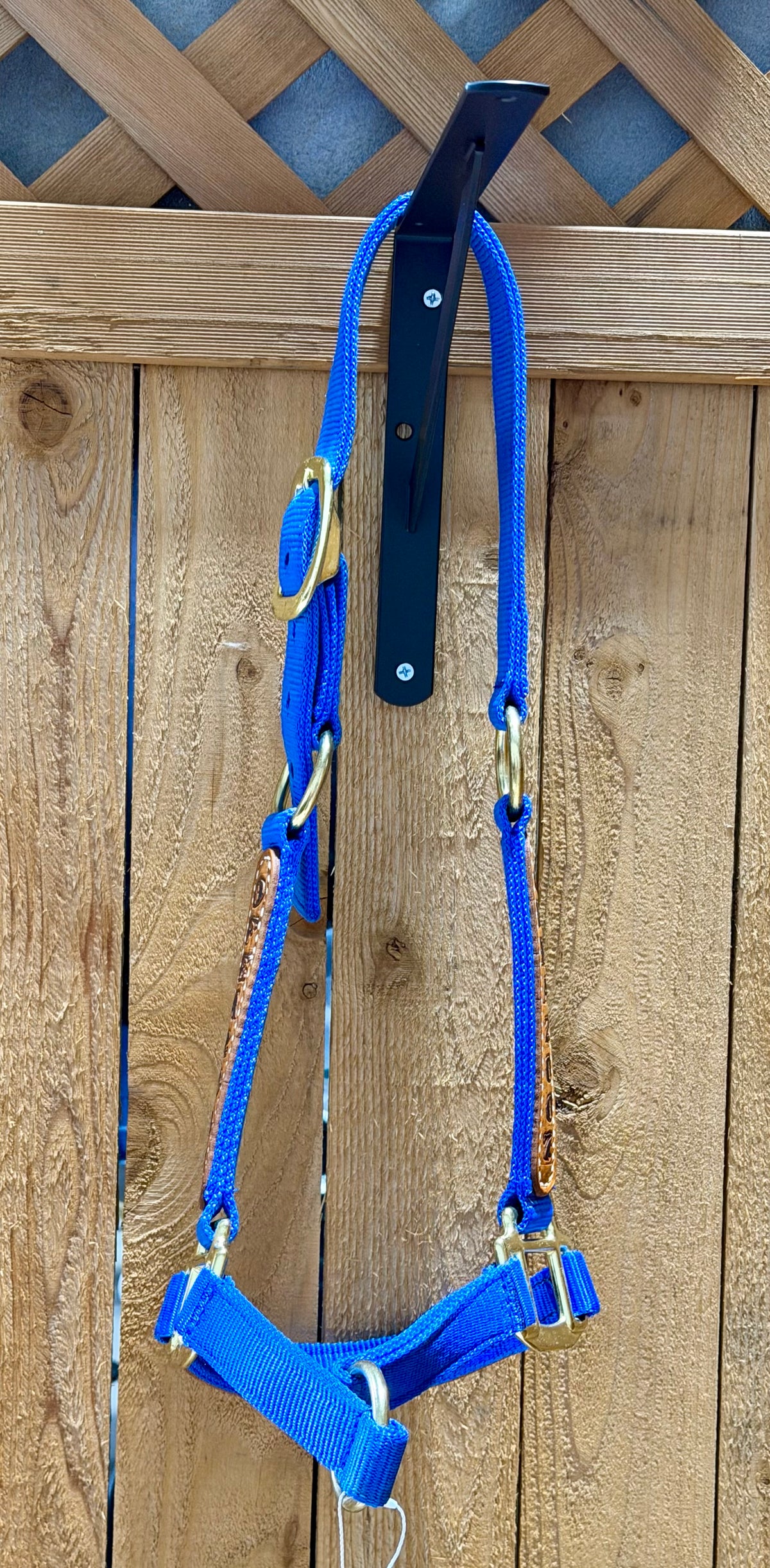 Like New Royal Blue Cob Award Grooming Halter – OFEA 2007 Champion