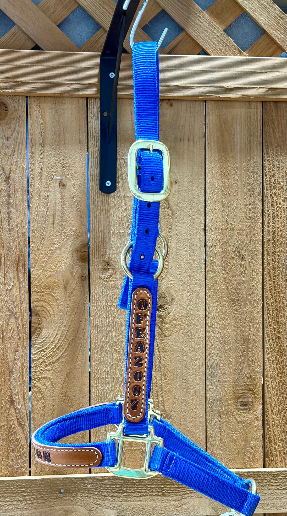 Like New Royal Blue Cob Award Grooming Halter – OFEA 2007 Champion
