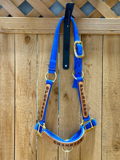 Like New Royal Blue Cob Award Grooming Halter – OFEA 2007 Champion
