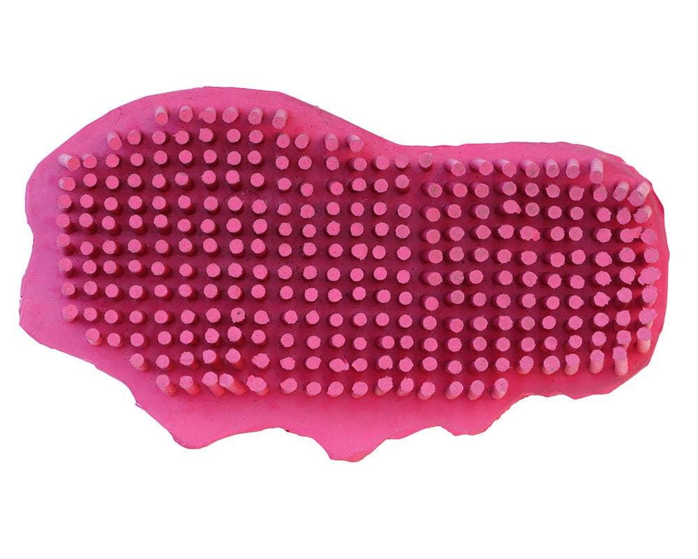 snuggy rubber horse curry brush teeth pink landscape