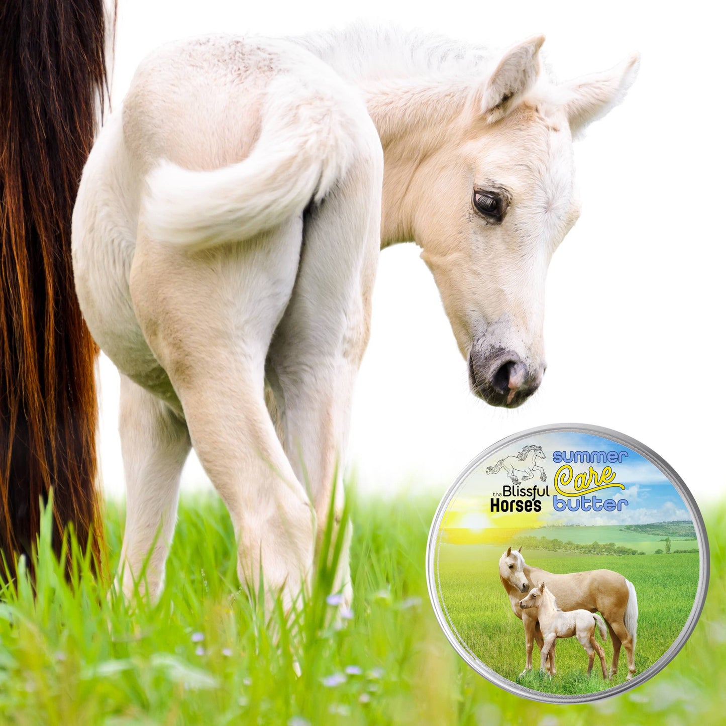 summer care butter horse sunscreen tin with foal