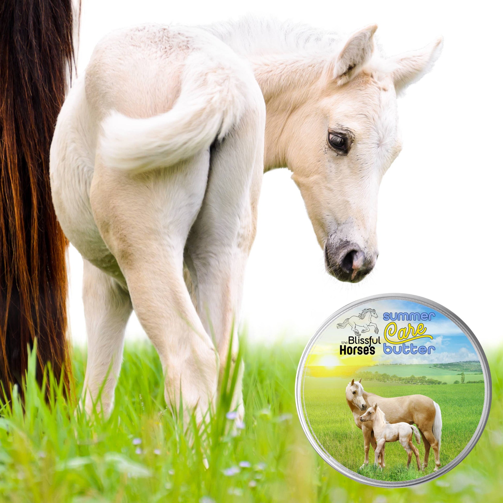 summer care butter horse sunscreen tin with foal